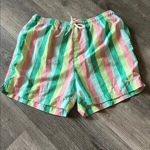 PacSun Green and Pink Swim Shorts